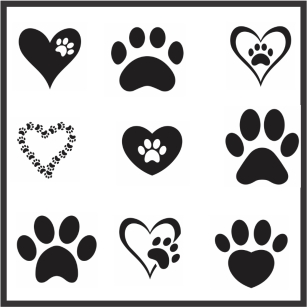 Animal Paw File