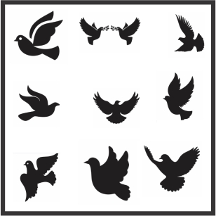 Dove Bird Vector