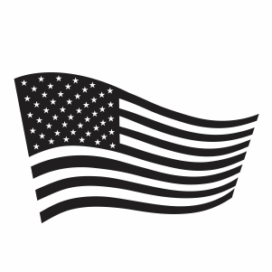 Flag of the United States Vector