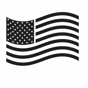 USA Flag Vector