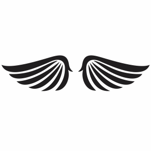 Bird Angel wings Svg