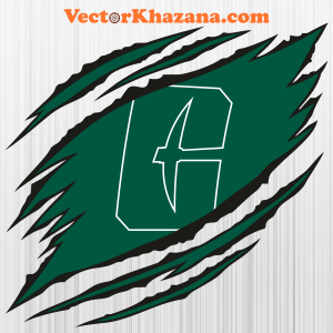 Charlotte 49ers Ripped Svg