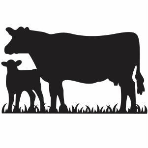 Cow and Calf Vector