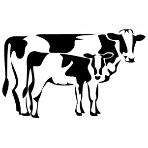 Cow and Calf vector