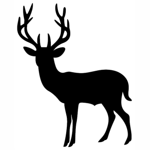 Deer buck Svg