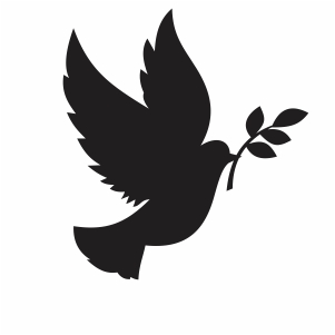 Dove With Olive Leaf vector