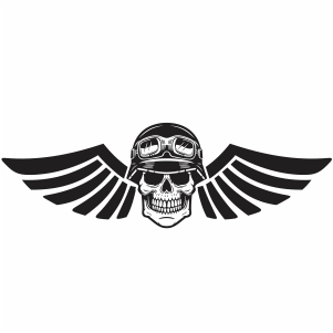 Wings skull Vector