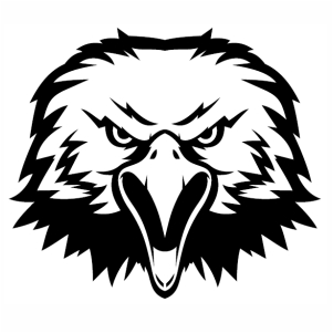 Angry Eagle Head Vector