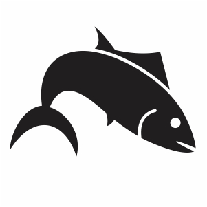beach fish vector file