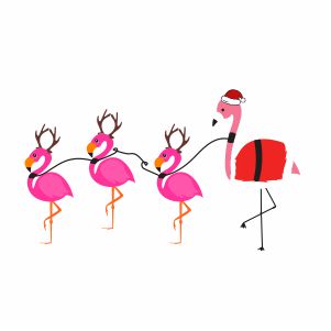 Flamingo Clipart
