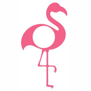  Flamingo Monogram Birds vector