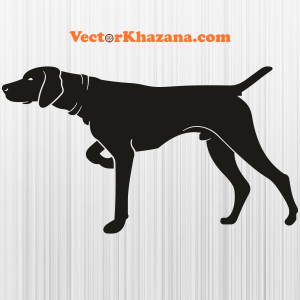 German Shorthaired Pointer Black Dog Png