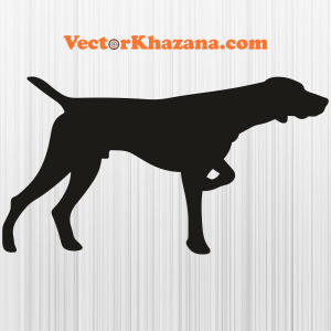 German Shorthaired Pointer Dog Png
