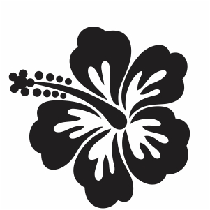 Hibiscus vector | Hawaii Flower Vector Image, SVG, PSD, PNG, EPS, Ai