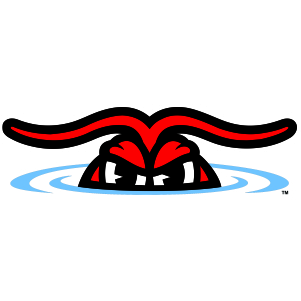 Hickory Crawdads Logo Vector