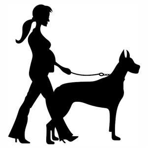 Lady Walking Dog vector