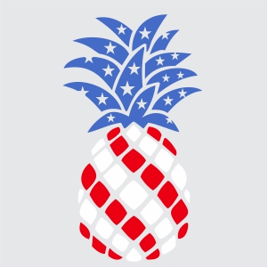 Patriotic Pineapple Vector