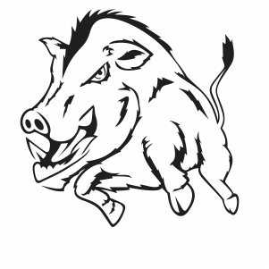 wild Pig Boar vector file