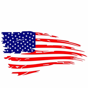 american distressed flag vector
