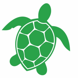 Sea Turtle Svg