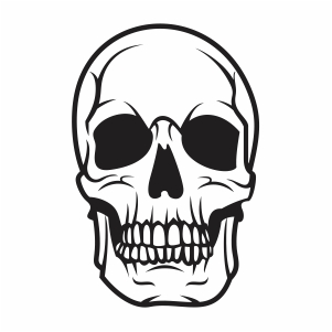 Skull Cracked Human Head vector file