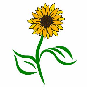 Sunflower With Stem Svg