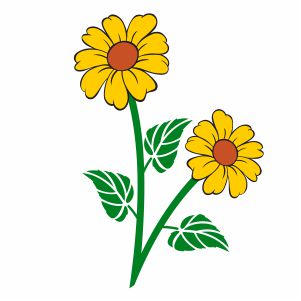 Sunflower With Leaf Vector