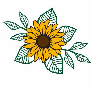 Layered Sunflower vector Sunflower With leaf Vector Image, SVG, PSD, PNG,.....