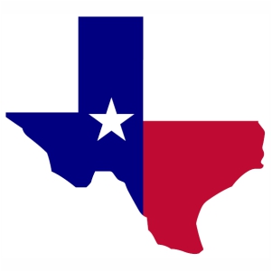Texas Flag with Map vector