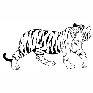 Bengal Tiger svg
