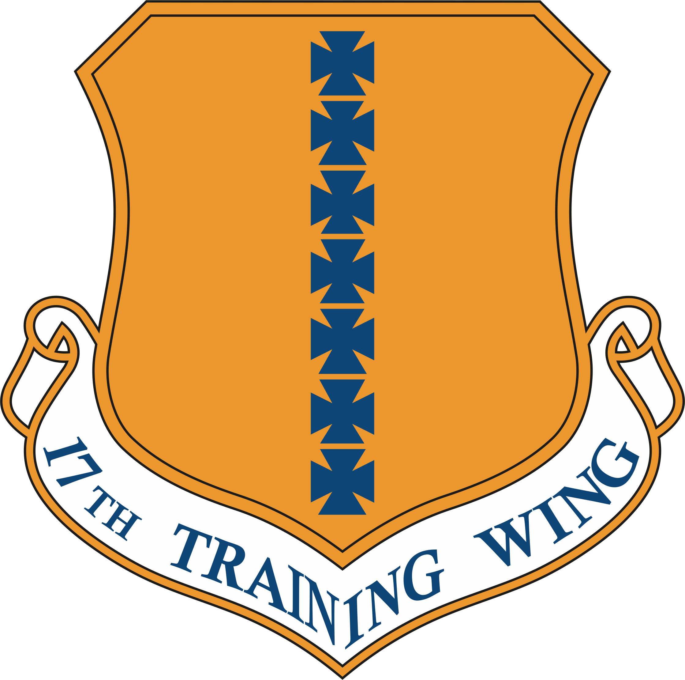 17th Training Wing SVG