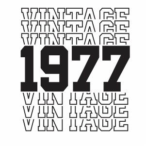 Vintage 1977 43th Birthday vector