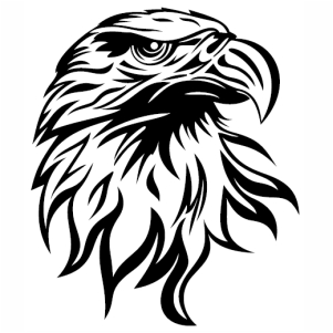 Bald Eagle Face Vector