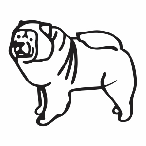 chow chow Dog vector