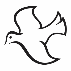  Dove Flying Bird vector