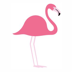 flamingo bird vector image