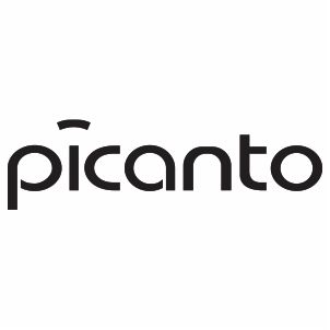 Kia Picanto Logo Vector