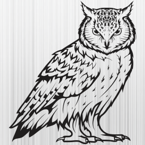Owl Icon Wild Birds Svg