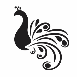 Peacock SVG | Peacock Stencil svg cut file Download | JPG, PNG, SVG