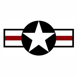 Retro US Army USA Star Logo vector